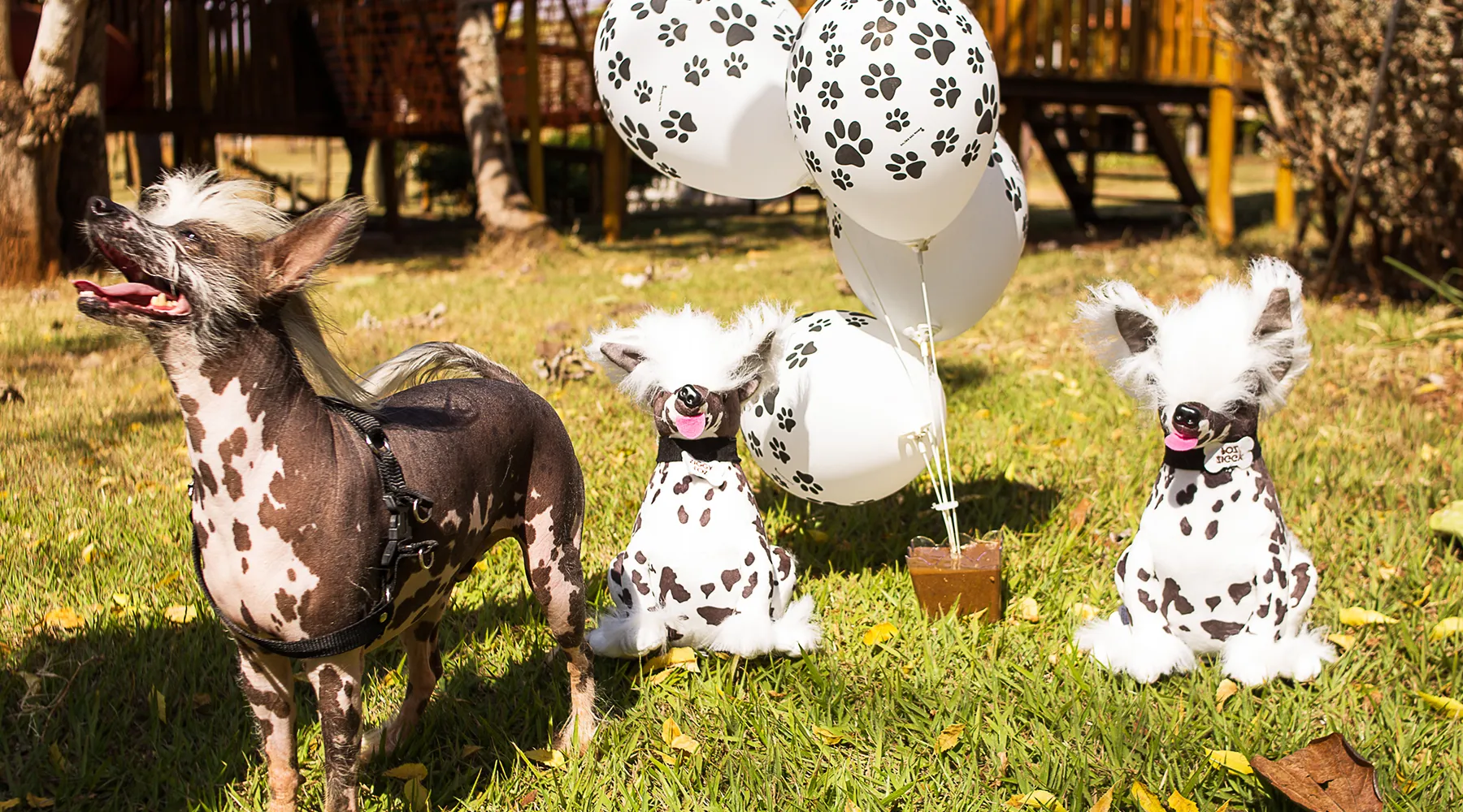 Foz do Marinheiro Eco Resort em Cardoso-SP