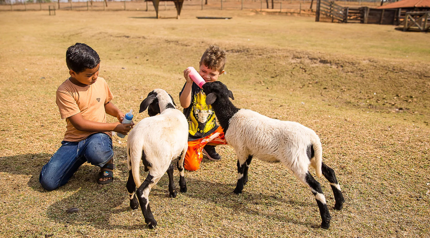 Foz do Marinheiro Eco Resort em Cardoso-SP