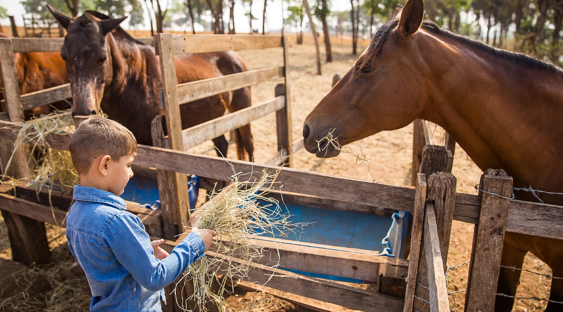 Foz do Marinheiro Eco Resort em Cardoso-SP