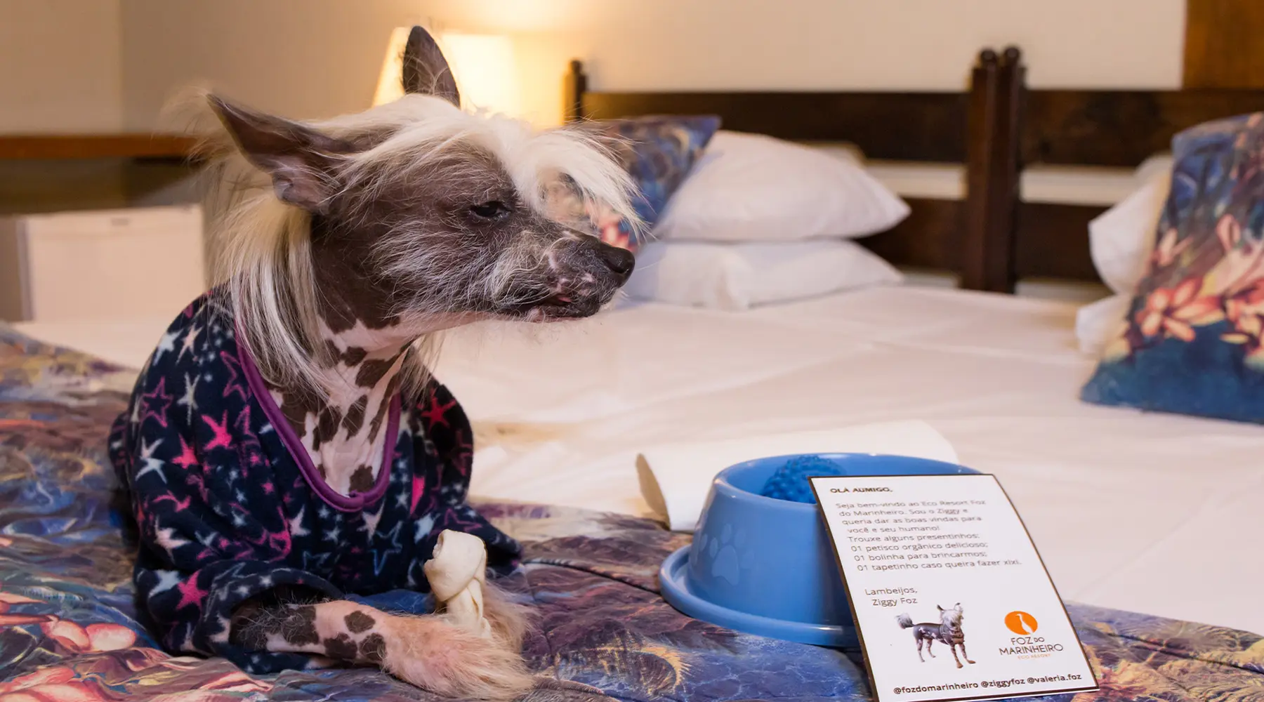 Foz do Marinheiro – Um Verdadeiro Hotel Fazenda Pet Friendly no Interior de São Paulo