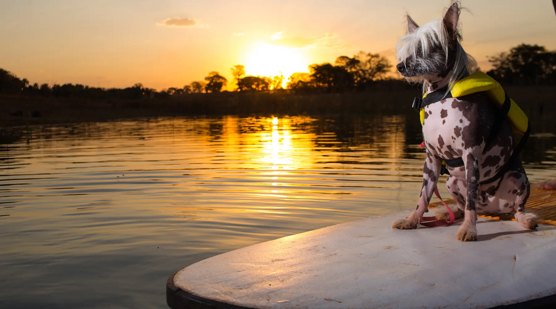 Foz do Marinheiro – Um Verdadeiro Hotel Fazenda Pet Friendly no Interior de São Paulo