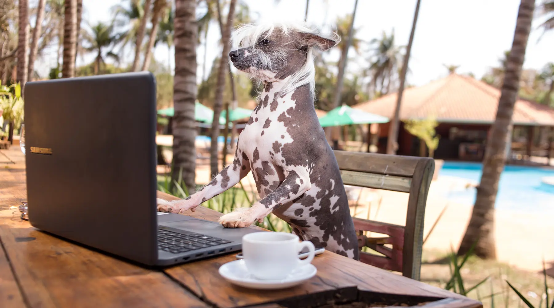 Foz do Marinheiro – Um Verdadeiro Hotel Fazenda Pet Friendly no Interior de São Paulo