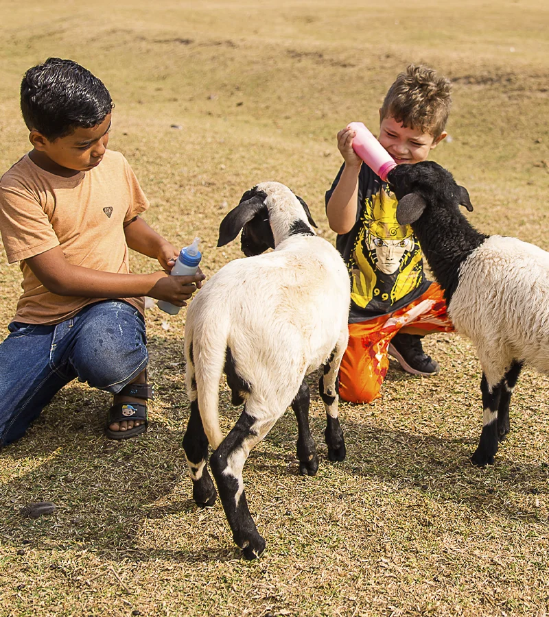 Traga sua família e aproveite: hospedagem gratuita para crianças de até 12 anos